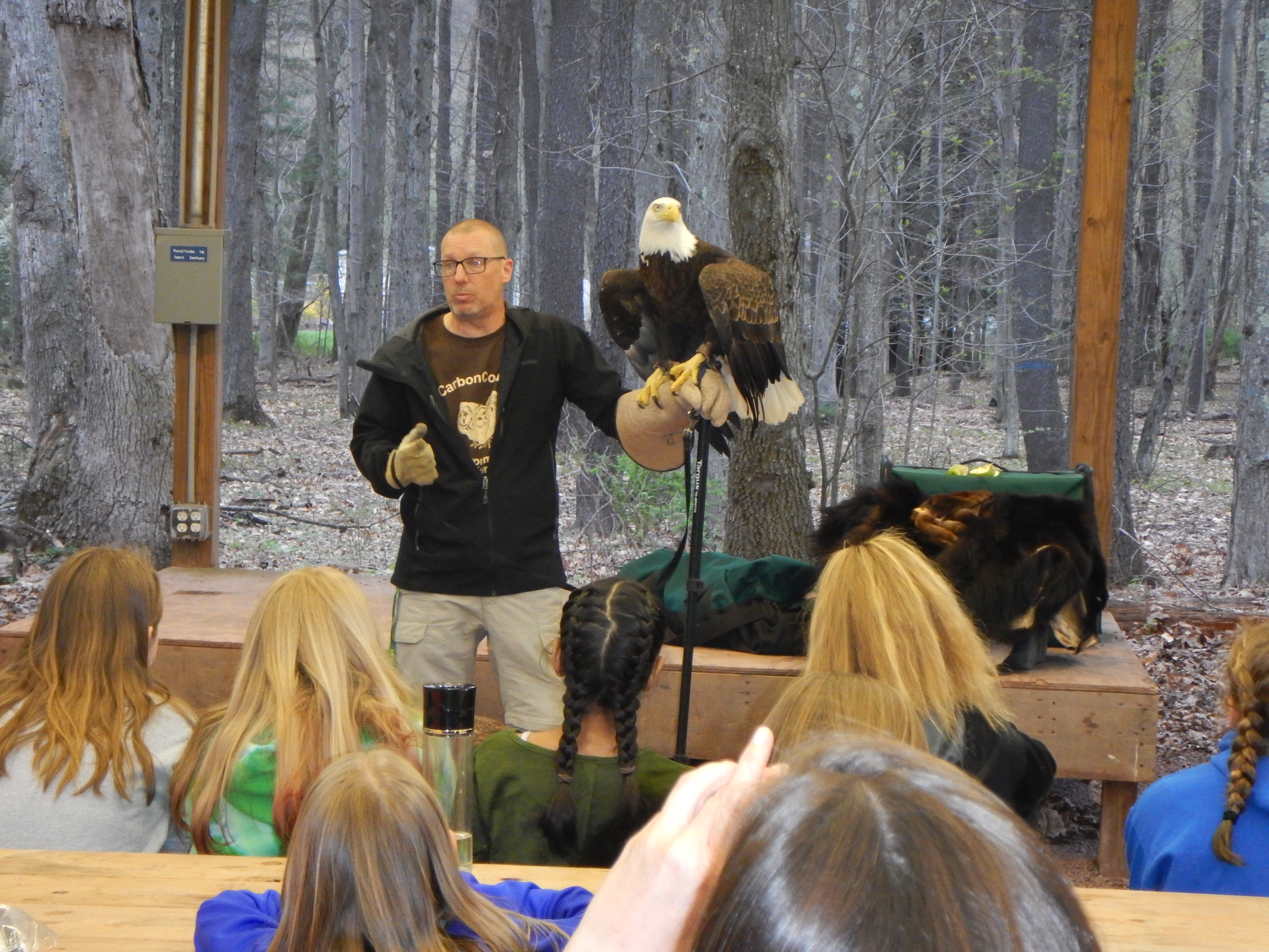 Bald Eagle Nature Program