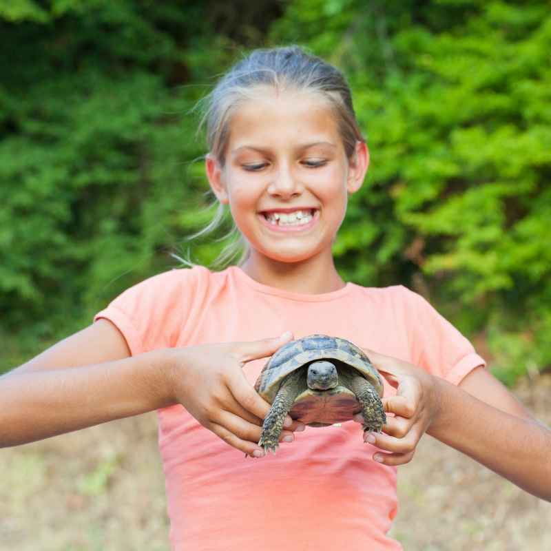Girl with Turtle
